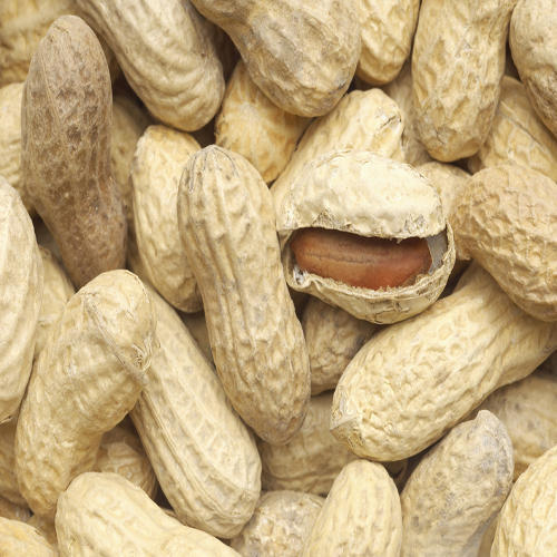 Natural Shelled Peanuts, for Making Oil, Making Snacks, Feature : Longer Shelf Life