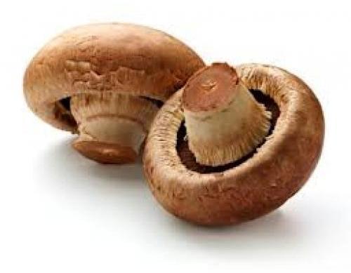 Organic Portobello Mushroom, for Cooking, Color : Fresh, Light Brown