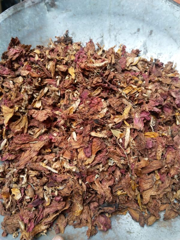 Natural hibiscus flower, for Cosmetics, Medicine, Style : Fresh