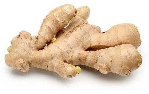 Organic Fresh Ginger, for Cooking, Cosmetic Products, Medicine, Packaging Size : 50kg, 5kg