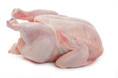 Frozen Chicken Meat, Packaging Type : Box
