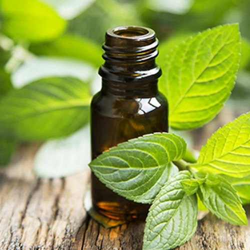 Peppermint Oil, for Aromatherapy, Form : Liquid