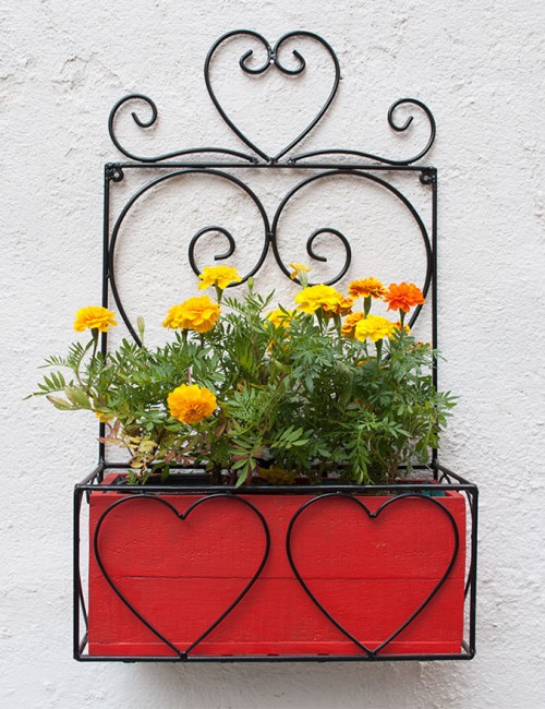 IRON WALL HANGING WOODEN PLANTER, Color : Green, Red, Yellow