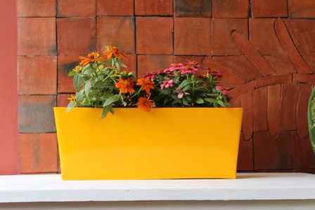 TABLE TOP RECTANGULAR BOX PLANTER, Color : Dark Blue, Green, Pink, Red, Yellow