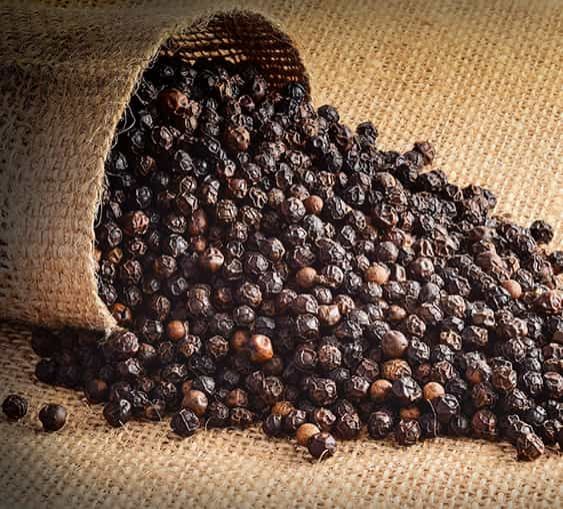 Black Pepper, Type Dried Organic at Rs 600 / kg in Tiruchirappalli Spicehut