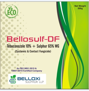 Tebu Sulphur (Sulphur 65% WG + Tebuconazole 10%)