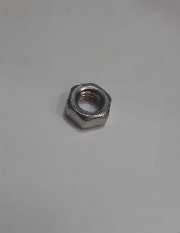 Stainless Steel Nuts