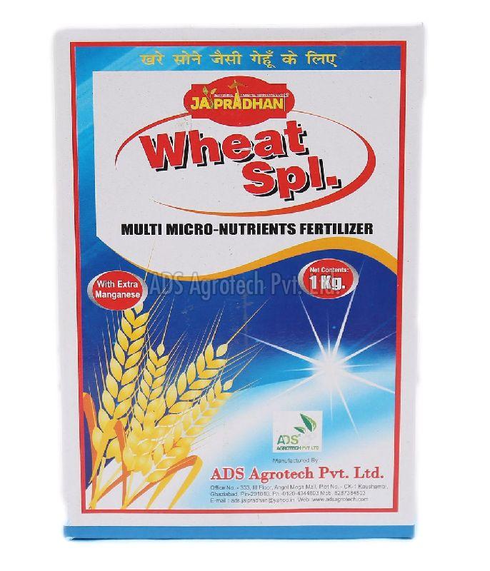 Wheat Special