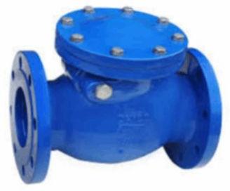 Polished Cast Iron Non Return Valve, for Water Fitting, Color : Multi-colored