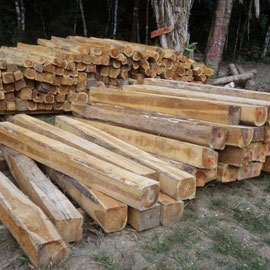 Reactangular Plain Polished Ghana Teak Wood