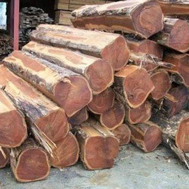 Brown Plain Polished Sudan Teak Wood
