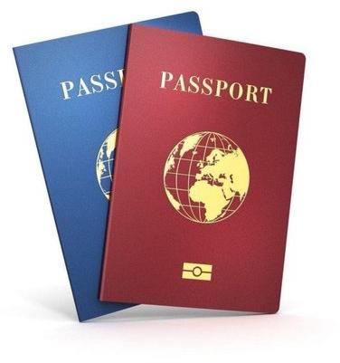 Passport Covers, Color : Assorted