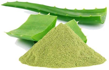 Organic Aloe Vera Leaf Powder, for Herbal Medicines, Feature : Optimum Purity, Hygienically Packed
