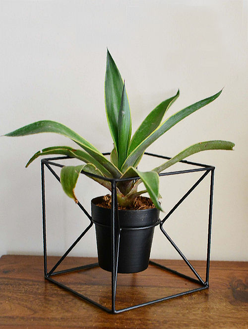 Back metal planter pot with stand