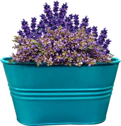 Round powder coated Iron Basket planter pot, for Home, Restaurant, Capacity : 0-10ltr