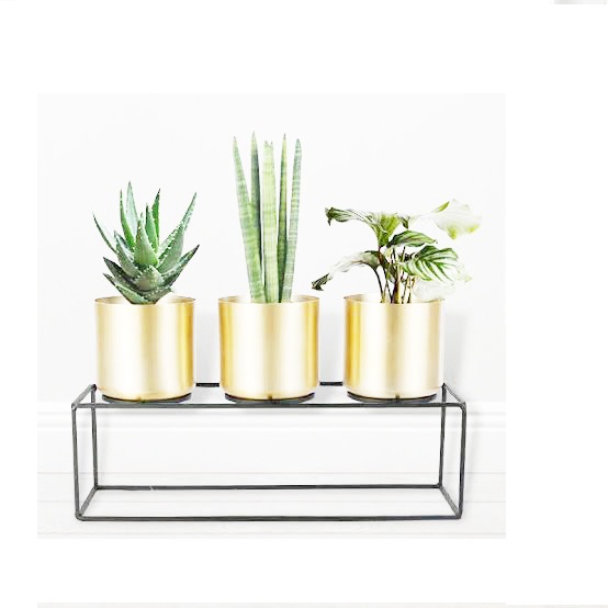 Powder Coated Iron Golden Planter pot, Feature : Easy To Placed