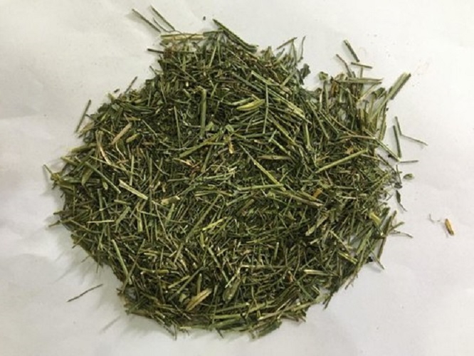 Kalmegh, for Pharmaceutical Raw Materials, Grade : Medicinal Grade