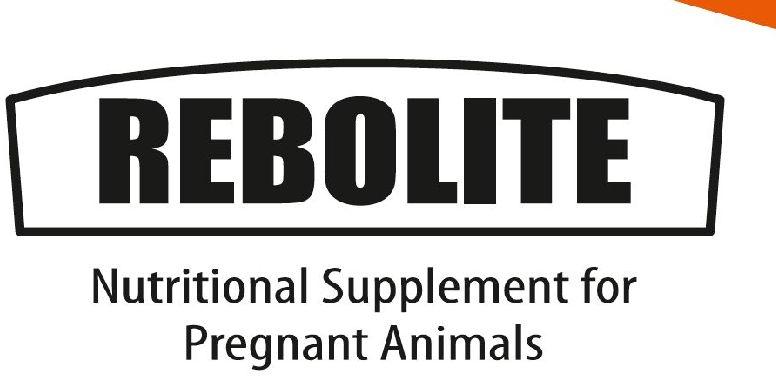 Pregnant Animals Nutritional Suppliement
