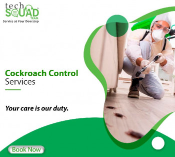 Cockroach Control Services Near Me in Chennai