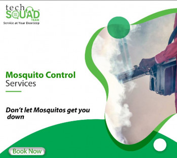 Mosquito Control Services Near Me in Chennai