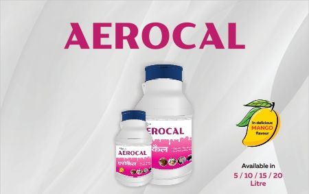 Aerocal Cattle Feed Supplement, Form : Liquid
