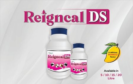 Reigncal DS Cattle Feed Supplement, Form : Liquid