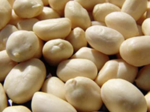 Blanched Peanut, for Direct Consumption, Feature : Fine Taste, Long Shelf Life