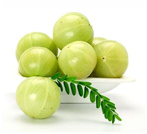 Fresh Amla