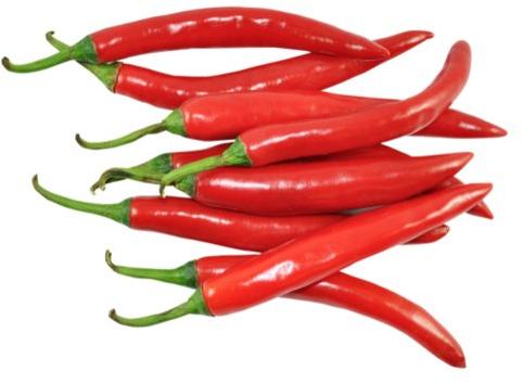 Natural Fresh Red Chilli, for Food, Making Pickles, Feature : Hot Taste