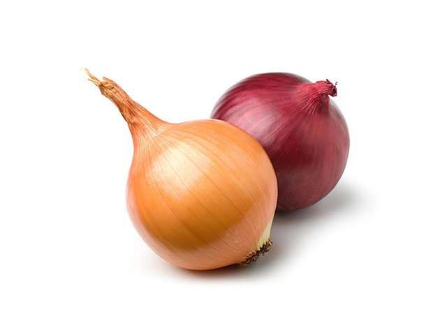 Natural Fresh Yellow Onion, Shelf Life : 15days