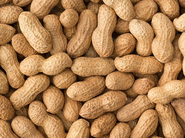 Natural Shelled Peanut, for Making Flour, Making Oil, Making Snacks, Feature : Longer Shelf Life