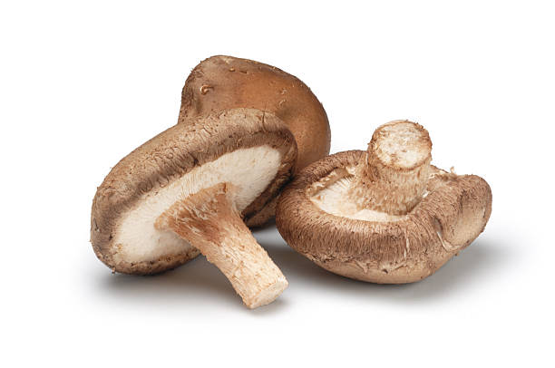 Fresh Shitake Mushroom