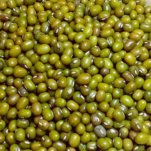 Organic Green Moong Dal, Form : Seeds