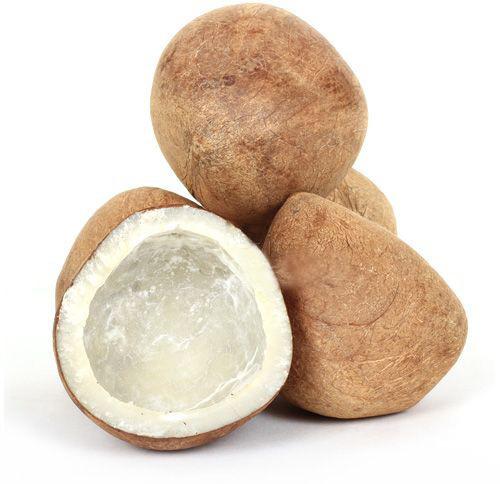 Oval Organic Dried Coconut, for Cosmetics, Pooja, Color : Brown