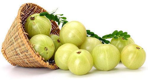 Organic Fresh Amla, for Medicine, Murabba, Color : Green