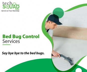 Bed bug control Services in Hyderabad