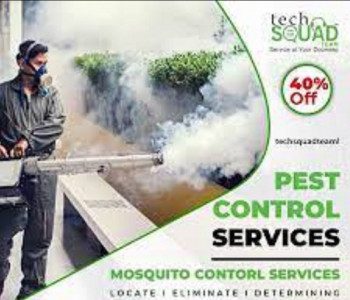 Mosquito removal Services