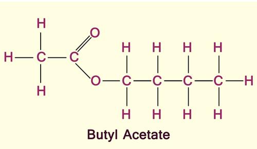 Butyl Acetate, for Industrial Use, Purity : 99.99%