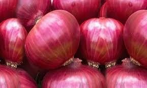 Fresh red onion