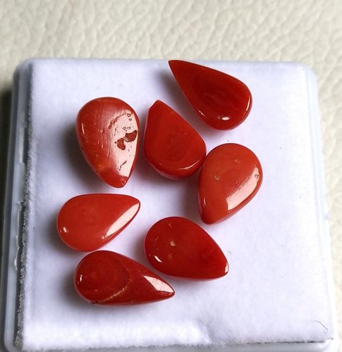 Polished Coral Gemstone, Feature : Durable, Fadeless, Shiny Looks