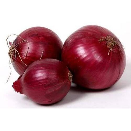 Organic fresh red onion