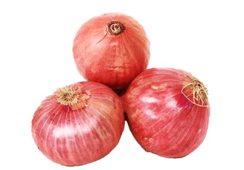 Organic fresh red onion, for Human Consumption, Cooking, Home, Hotels, Packaging Size : 20kg