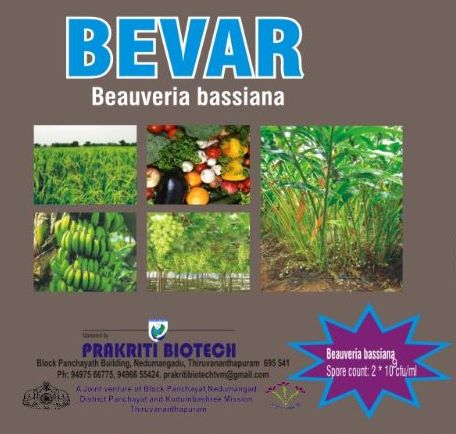 Liquid Powder Bevar Bio Control Agents, for Agriculture, Purity : 100%