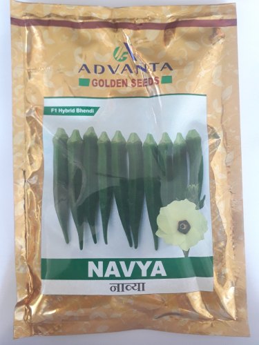 Bhindi Seeds Golden -Navya, Shelf Life : 9 Month