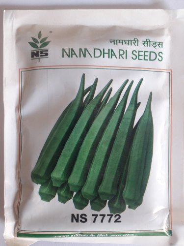 bhindi namdhari ns 772 seed