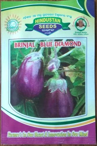 Natural Brinjal Blue Diamond Seeds, Shelf Life : 9 Month
