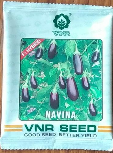 Brinjal Naveena Seeds, Shelf Life : 9 Month