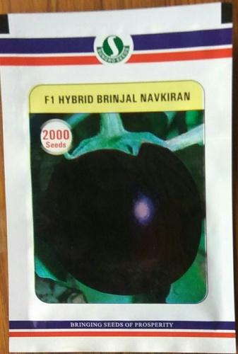  Natural Brinjal Navikiran seeds, Packaging Type : POLY POUCH