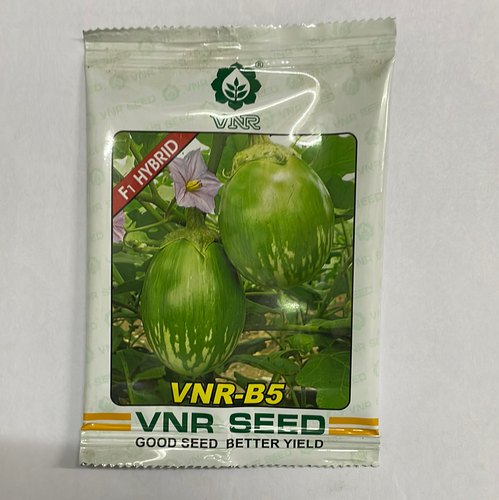  Natural Brinjal Vnr B5 Seeds, Packaging Size : 10GM