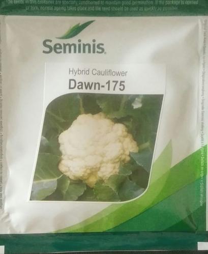  Cauliflower seeds Dawn -175, Packaging Size : 10 GM